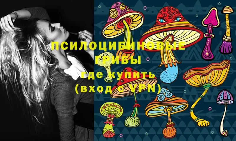 Галлюциногенные грибы Magic Shrooms  kraken tor  Электроугли 